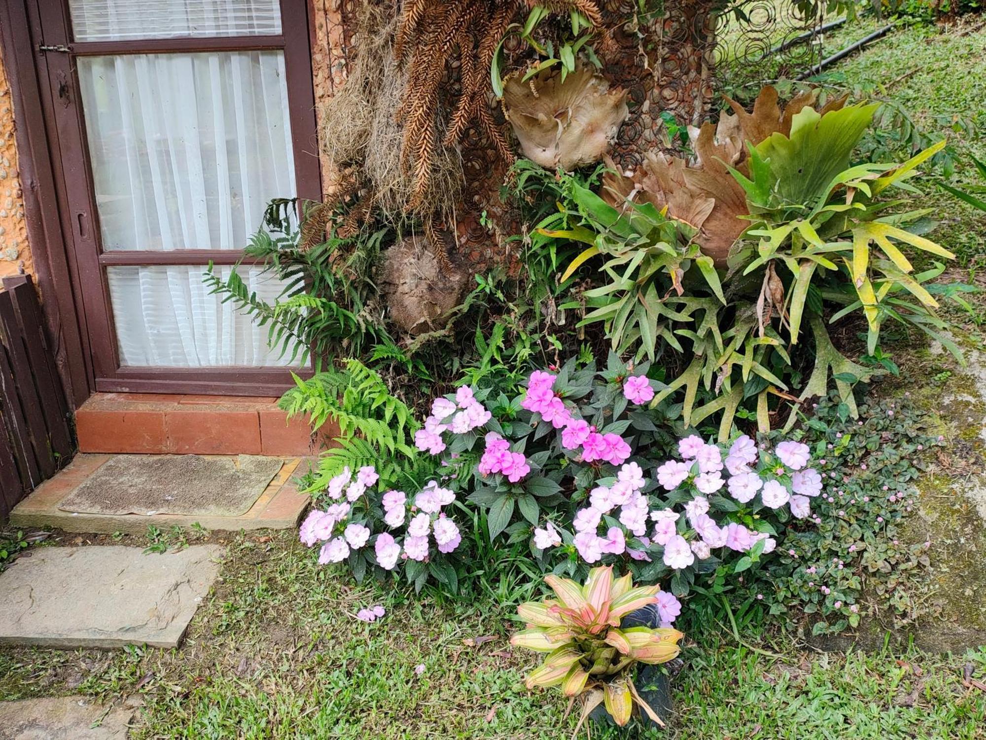 Sitio Mae Terra Hotel Afonso  Buitenkant foto